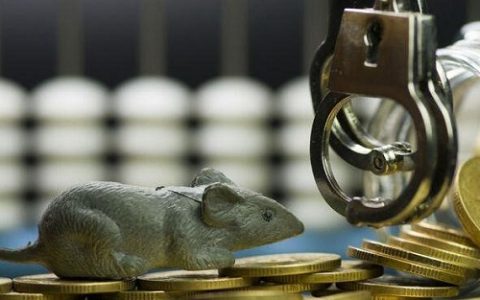 中大期货苹果保证金(苹果期货保证金比例)